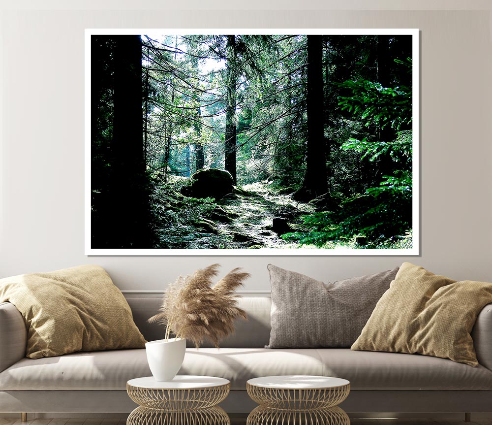 Trickling Stream Print Poster Wall Art