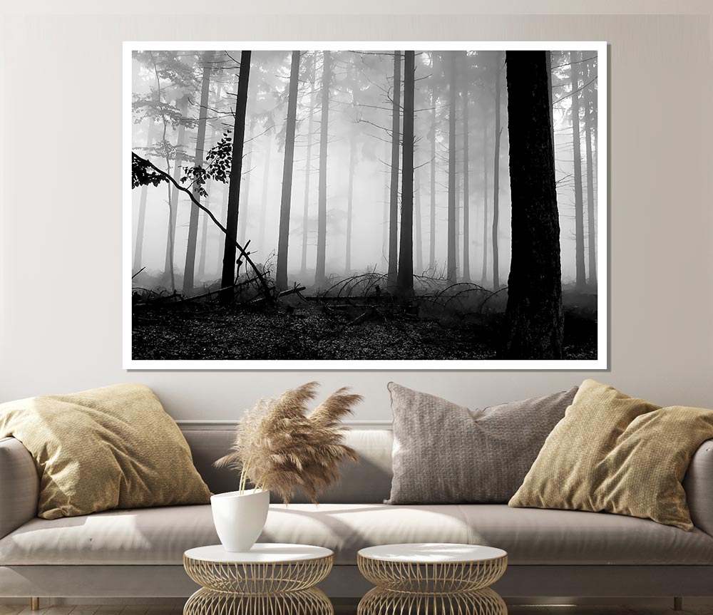 Black N White Woodland Mist Print Poster Wall Art