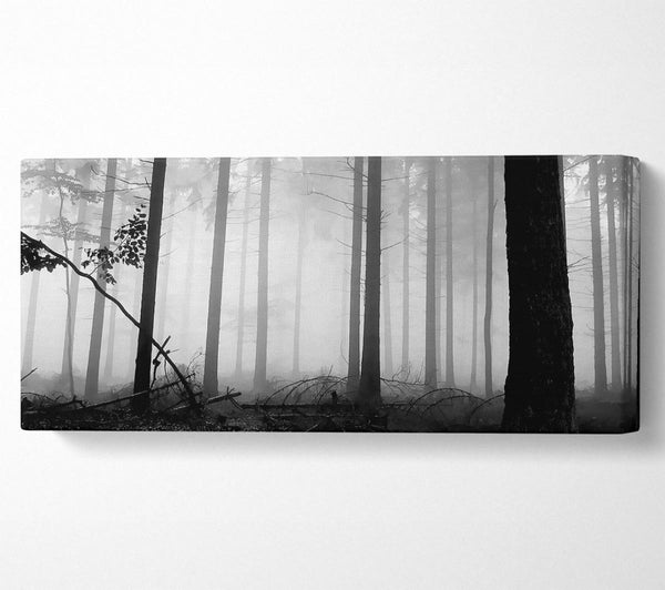 Black n White Woodland Mist