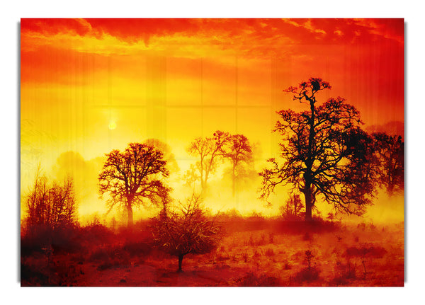 The Trees Awake Landscape Canvas