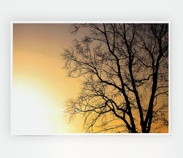 Calm Winter Sun Print Poster Wall Art