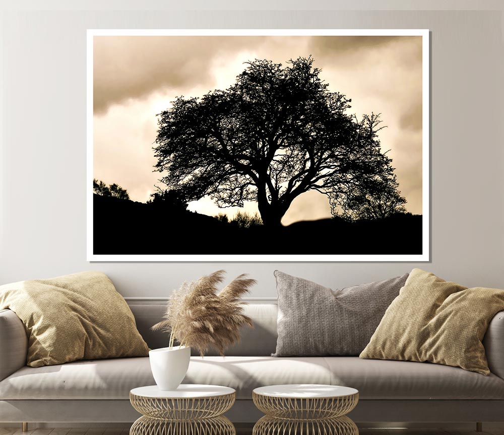 Tree In First Light Print Poster Wall Art