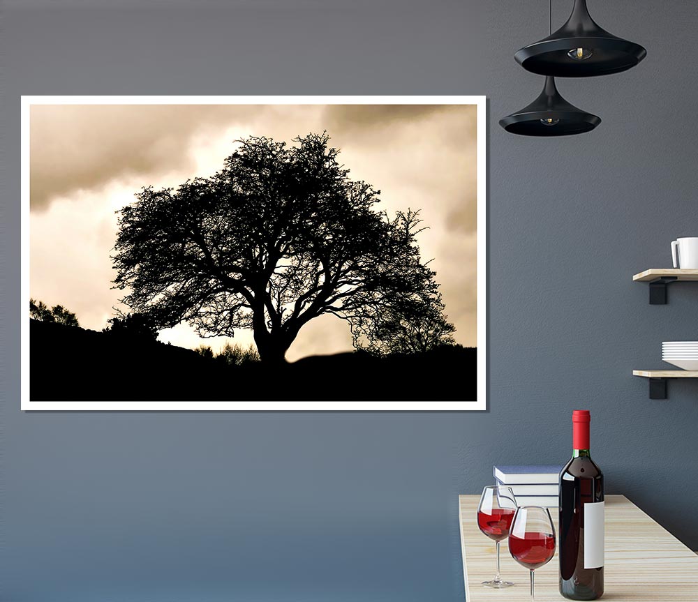 Tree In First Light Print Poster Wall Art