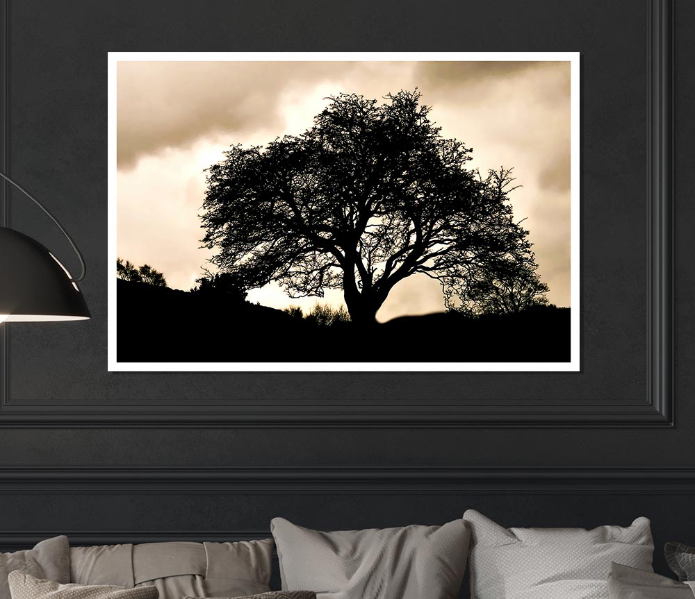 Tree In First Light Print Poster Wall Art