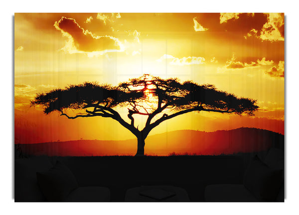 African Tree At Sunset