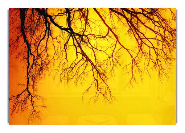 Golden Tree Branches