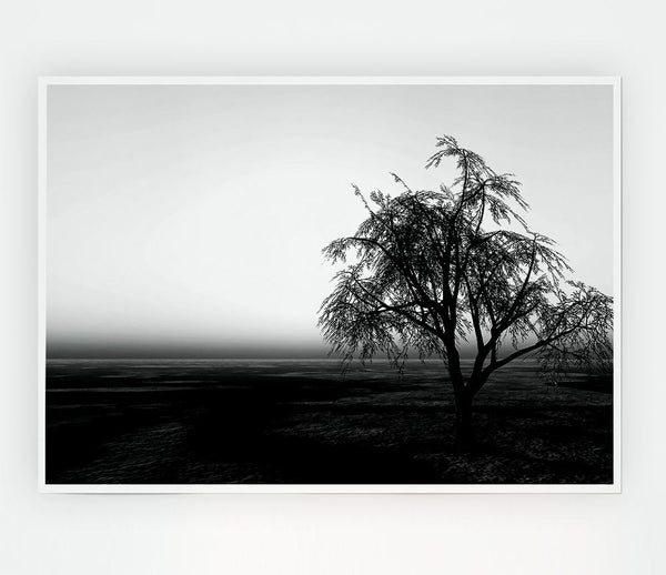 The Way The Wind Blows B N W Print Poster Wall Art