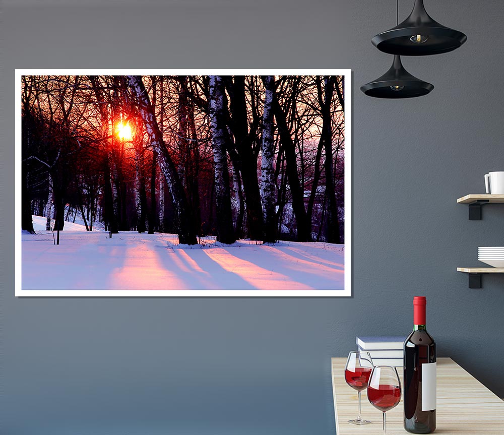 Winter Woodland Sun Print Poster Wall Art