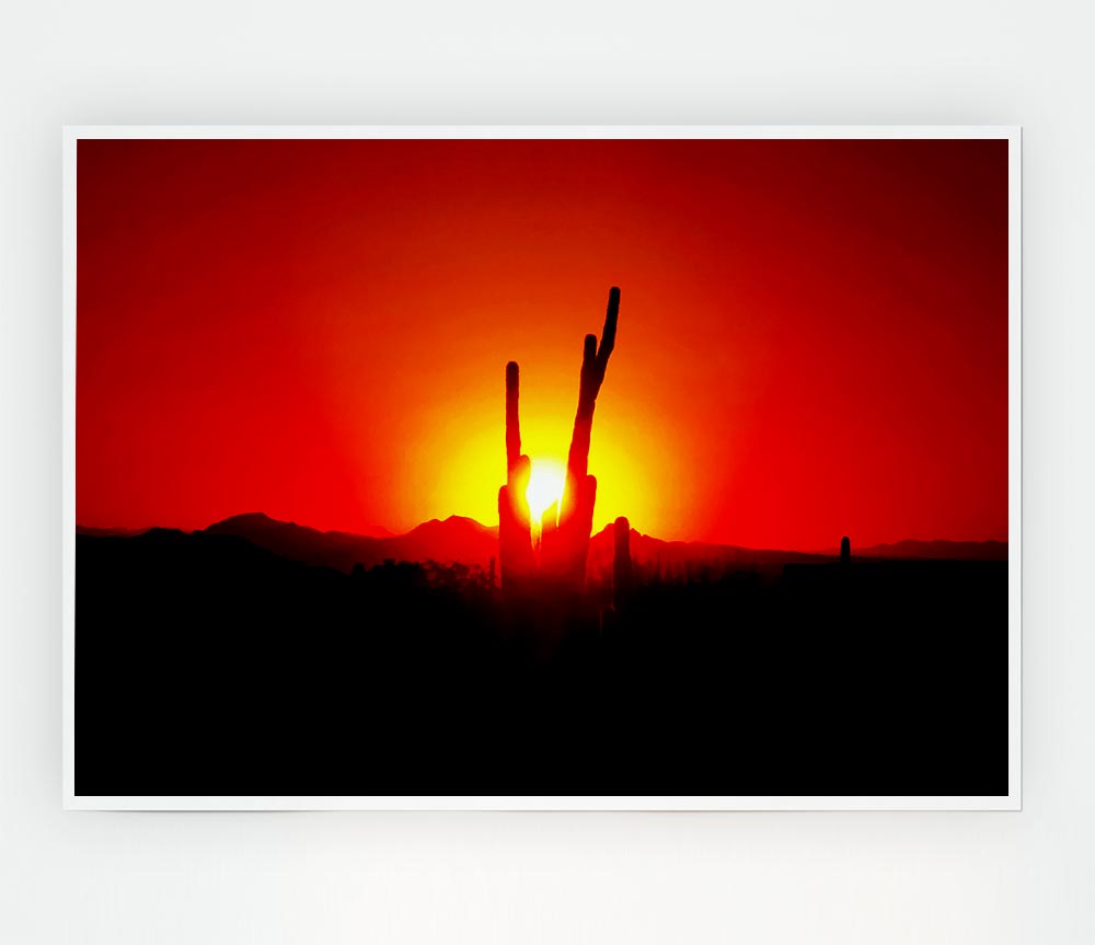 Cactus In Sunlight Print Poster Wall Art