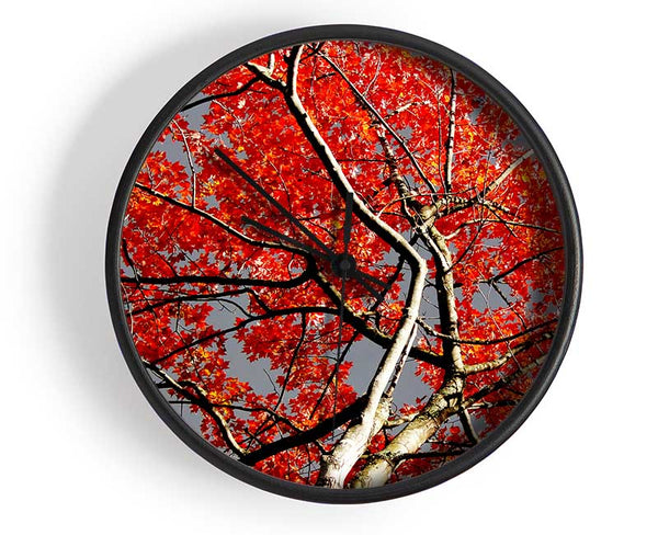 Red Tree Giant Clock - Wallart-Direct UK