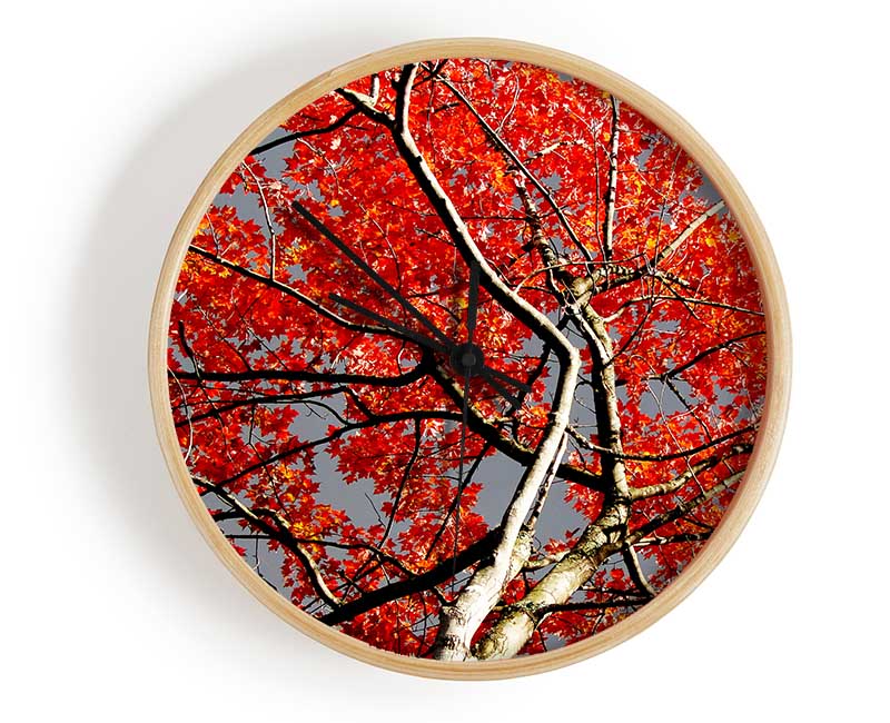 Red Tree Giant Clock - Wallart-Direct UK