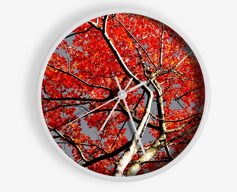 Red Tree Giant Clock - Wallart-Direct UK