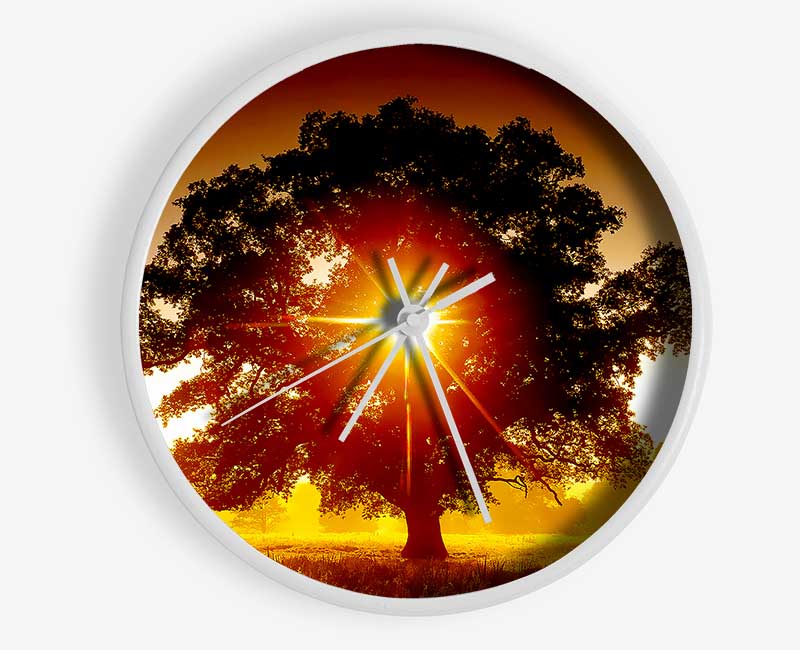 Sun Through The Tree Clock - Wallart-Direct UK