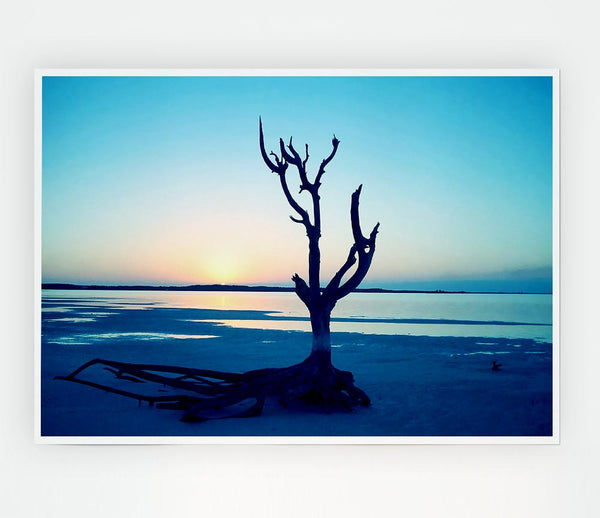 Blue Ocean Driftwood Print Poster Wall Art