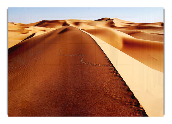 Sand Dune Patterns