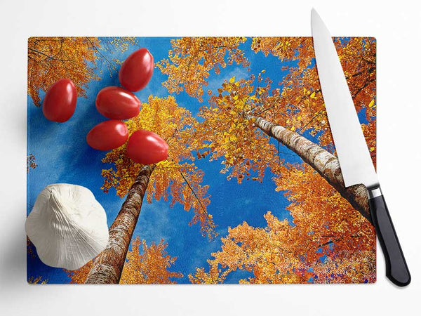 High Above The Tree Tops Glass Chopping Board