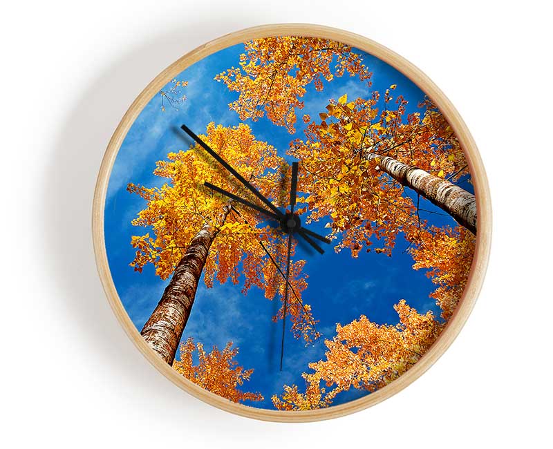 High Above The Tree Tops Clock - Wallart-Direct UK