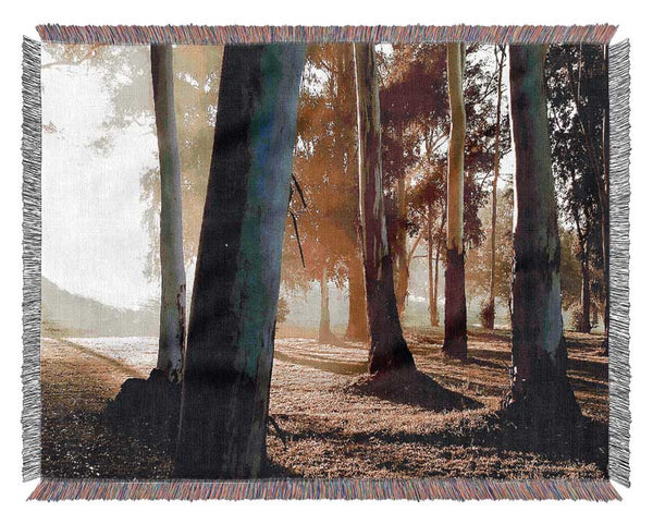 Morning Sunbeam Trees Woven Blanket