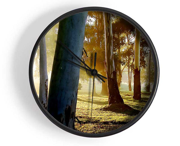 Morning Sunbeam Trees Clock - Wallart-Direct UK