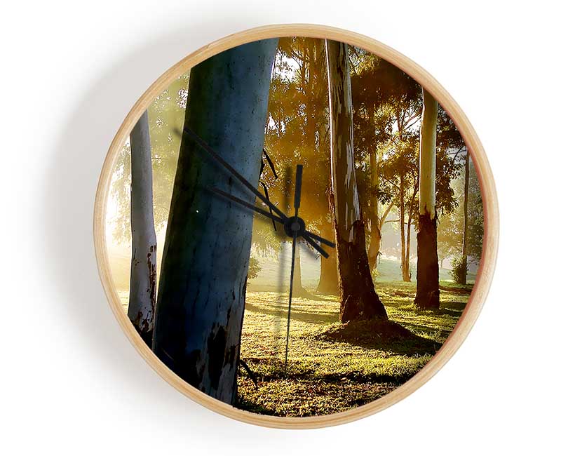 Morning Sunbeam Trees Clock - Wallart-Direct UK