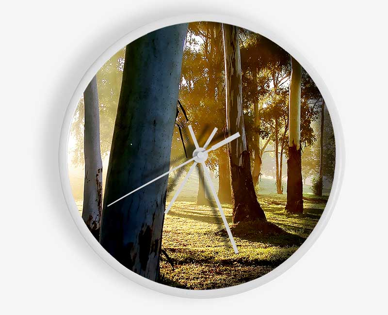 Morning Sunbeam Trees Clock - Wallart-Direct UK