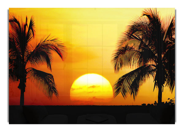 Palmtree Sunset 1