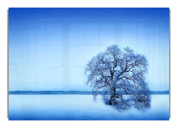 Blue Winter Tree