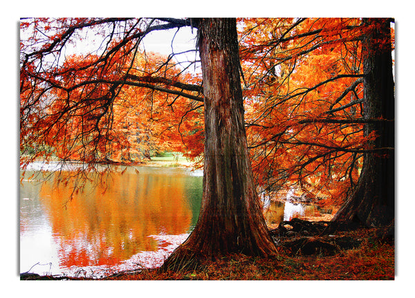 Autumn Orange River Reflections