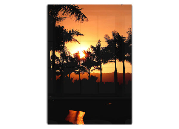 Orange Palm Tree Sun Glow