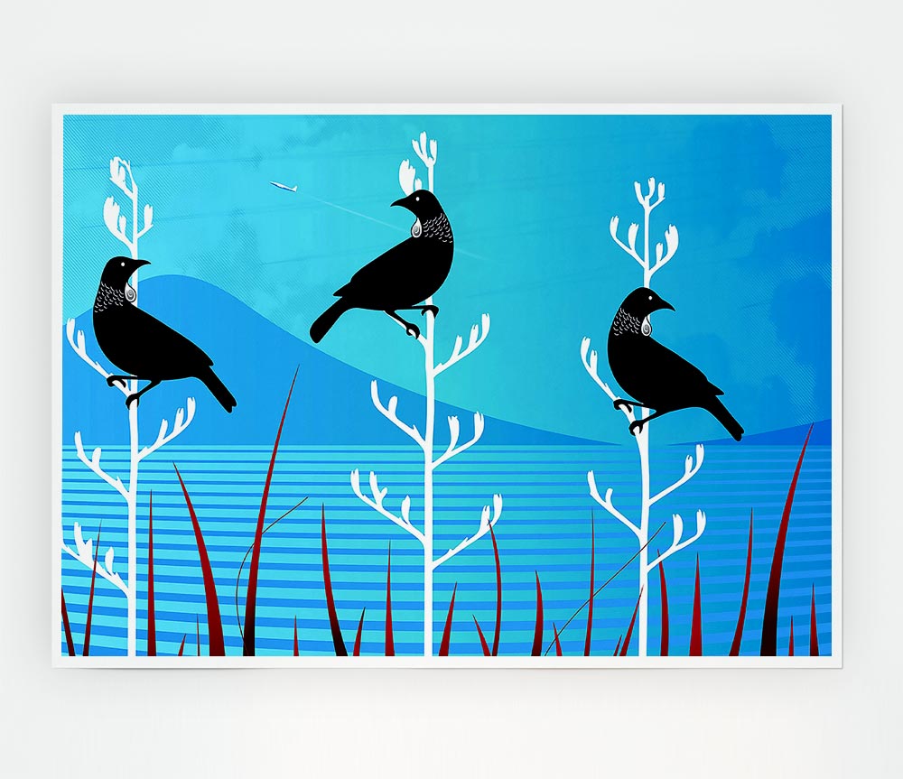 Tui Birds Print Poster Wall Art