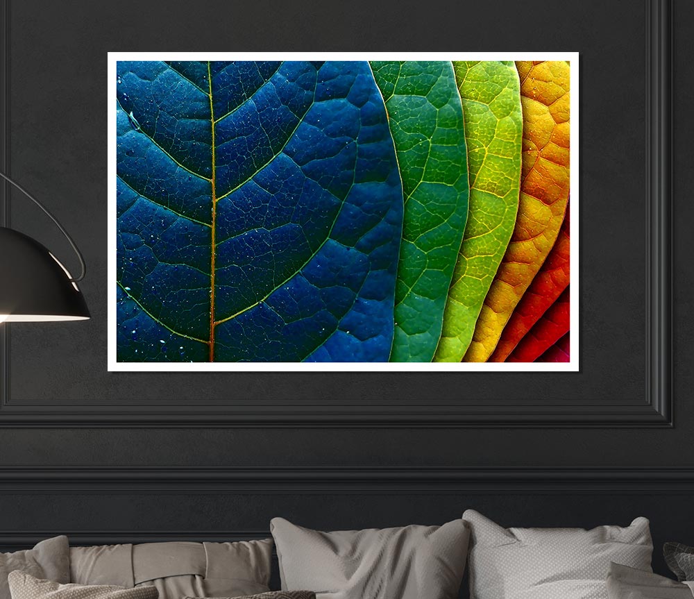 Colourful Leaves Print Poster Wall Art