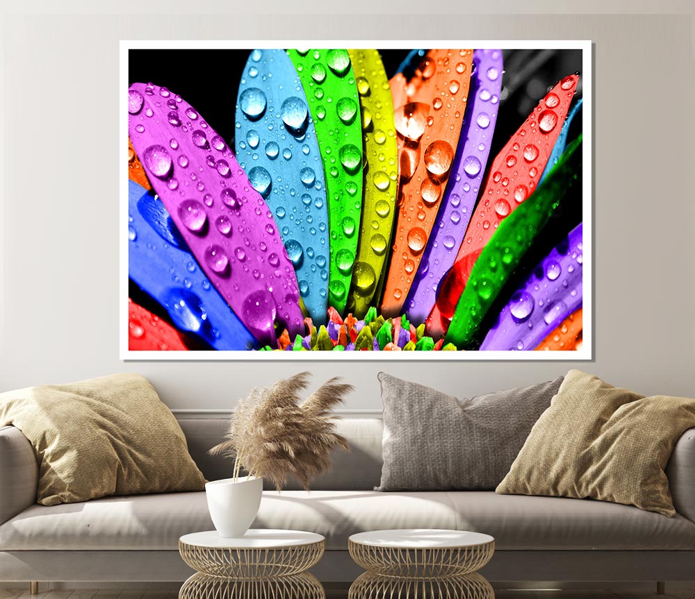 Colourful Flower Print Poster Wall Art