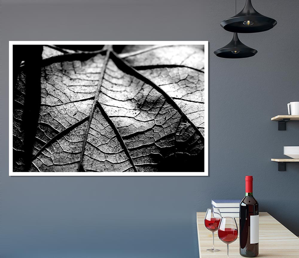 Dry Leaf Black And White Print Poster Wall Art