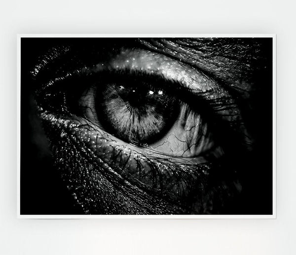 The Eye Of Knowledge Print Poster Wall Art