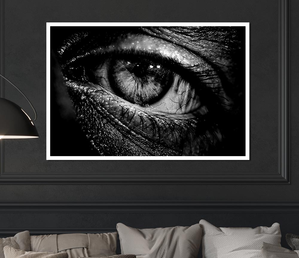 The Eye Of Knowledge Print Poster Wall Art