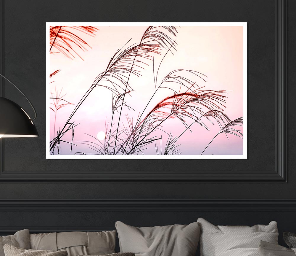 Grass Sunset Print Poster Wall Art