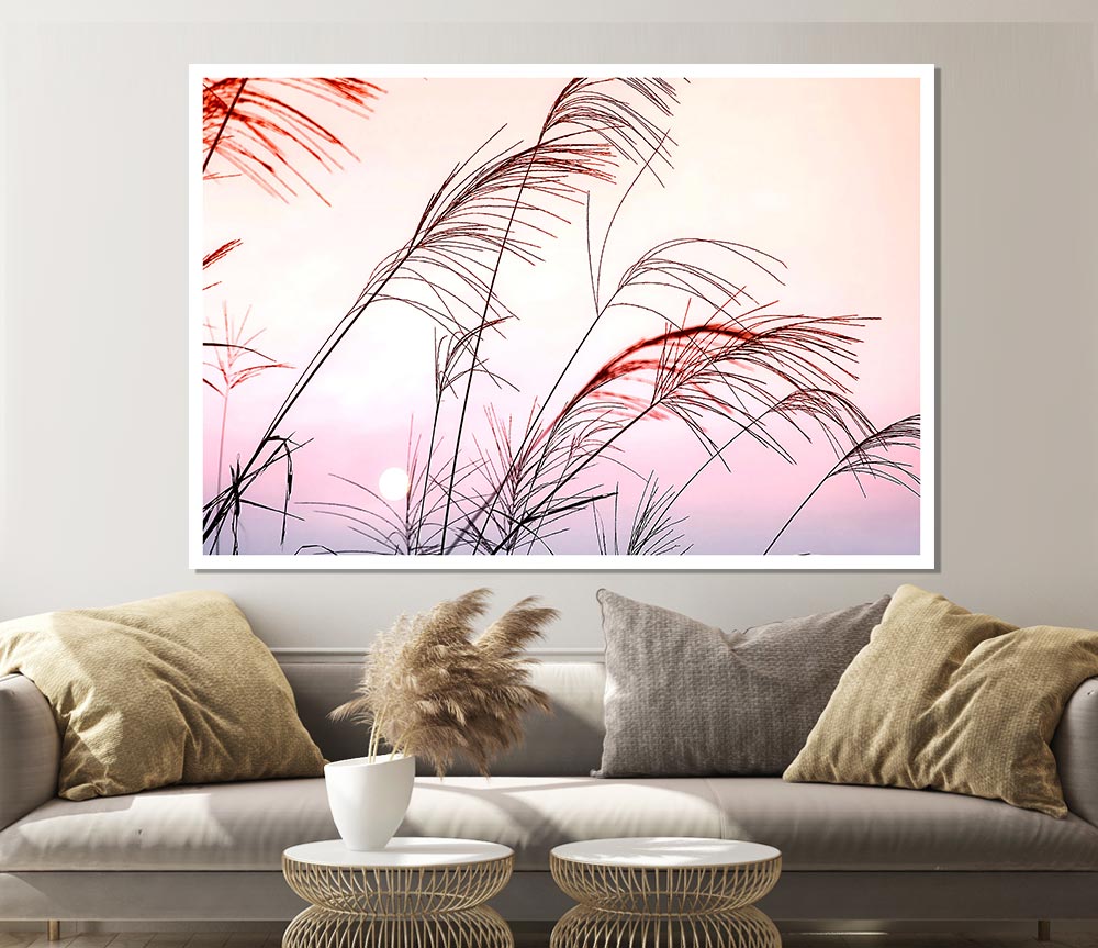 Grass Sunset Print Poster Wall Art