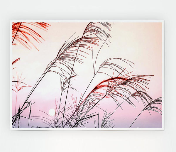 Grass Sunset Print Poster Wall Art