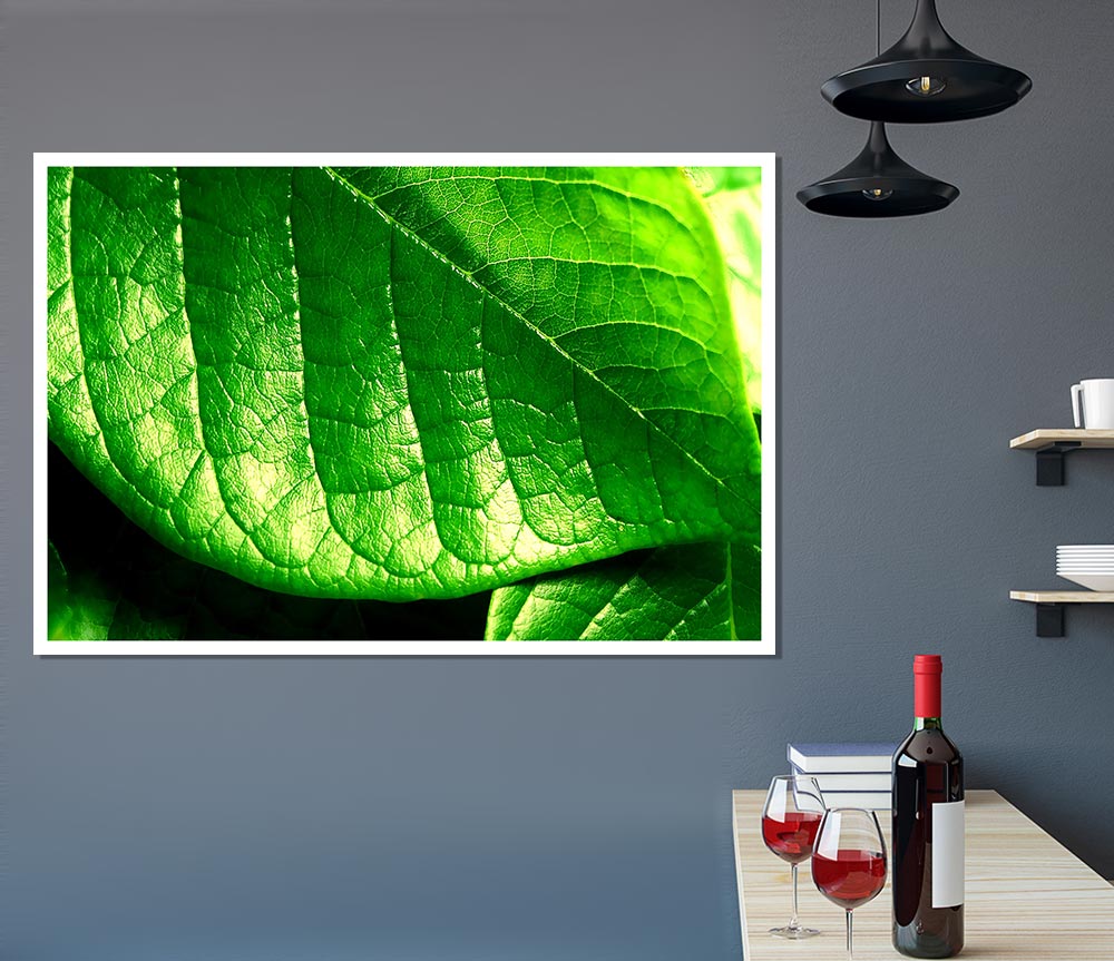 Veins Of A Leaf Print Poster Wall Art