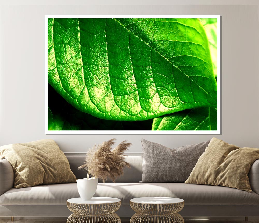 Veins Of A Leaf Print Poster Wall Art