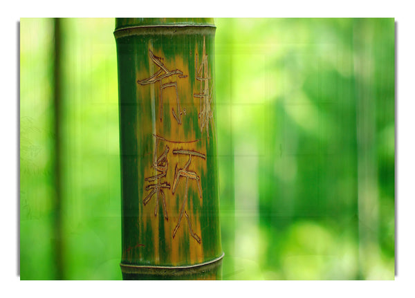 Engraved Bamboo