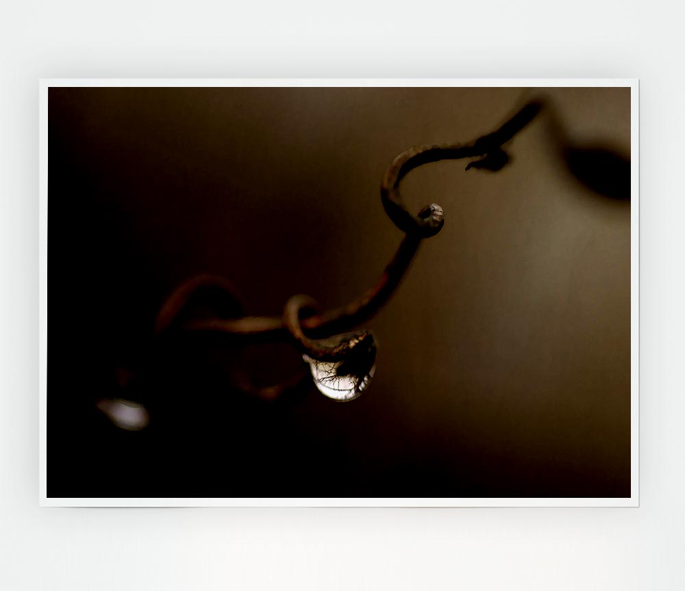 Drop Of Water Brown Print Poster Wall Art