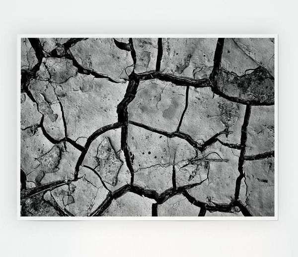 Cracked Mud Print Poster Wall Art