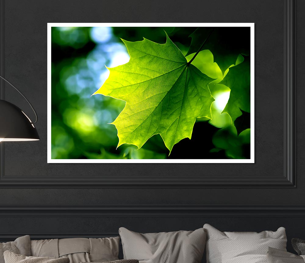 Green Leaf Print Poster Wall Art