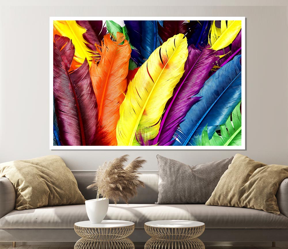 Feathers In Colours Print Poster Wall Art