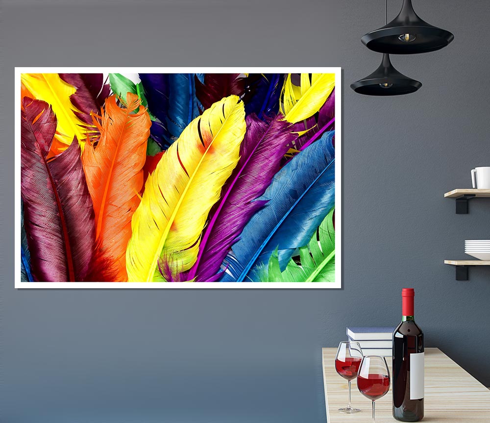 Feathers In Colours Print Poster Wall Art