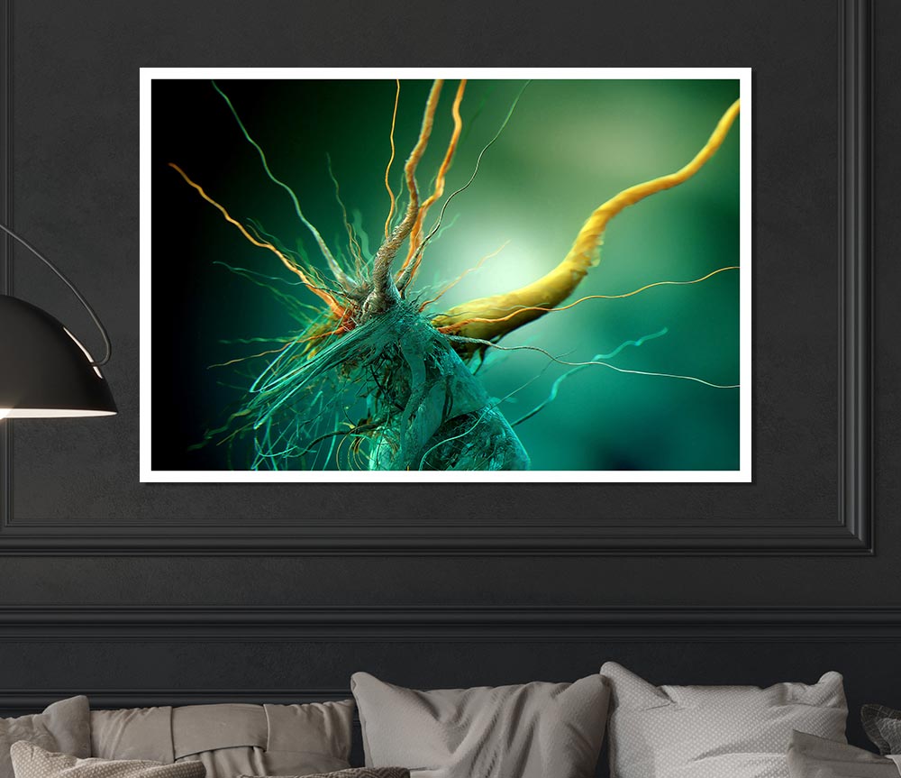 Bacteria Print Poster Wall Art