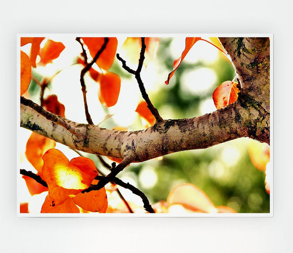 Fall Tree Print Poster Wall Art