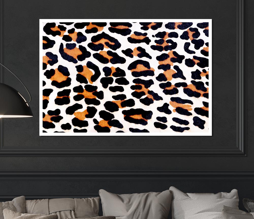 Animal Skin Print Poster Wall Art