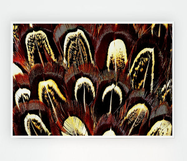 Feather Fan Print Poster Wall Art